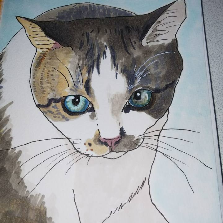 3f9364bb edc8 401b ade8 4e038b21428c 1539695463736