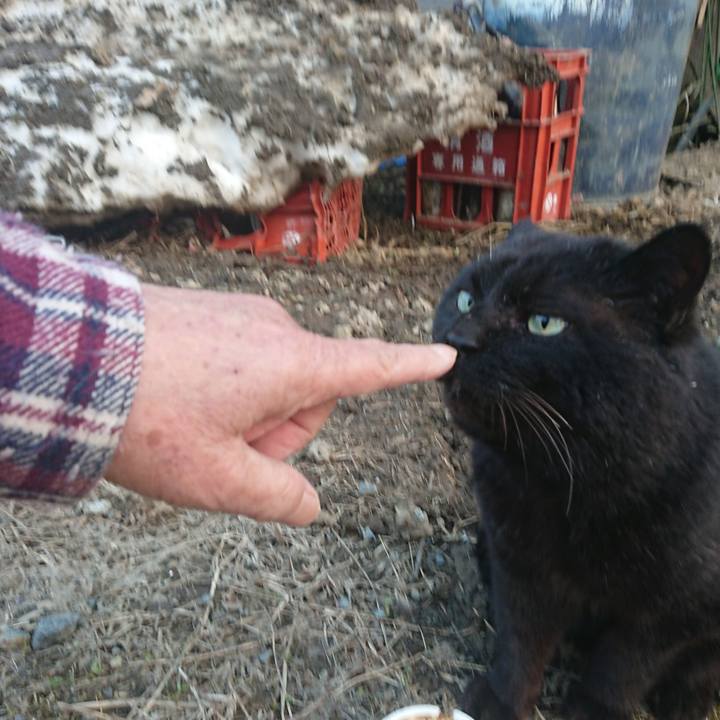 3f937469 ca36 4c65 aa48 a57797a88194 1649236683807