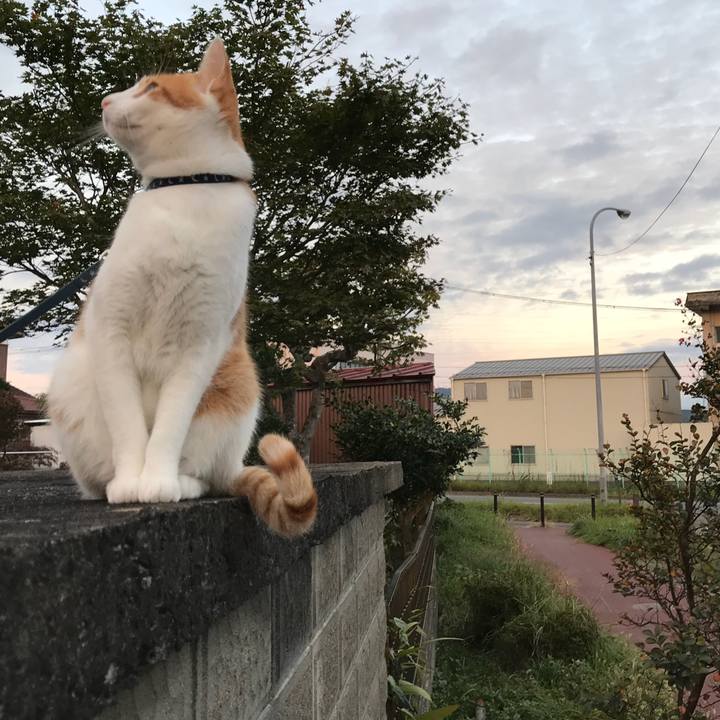 3f9376b2 eeac 4167 96f0 3a124ac3481a 1507970732290