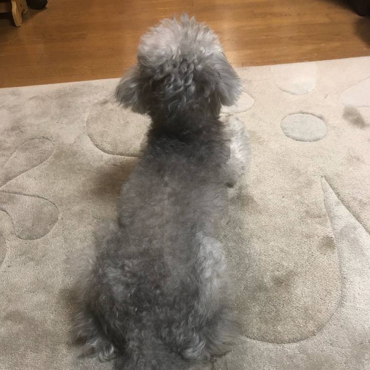 3f938ed0 eac9 4607 aaf7 c73b951d264a 1613262955769