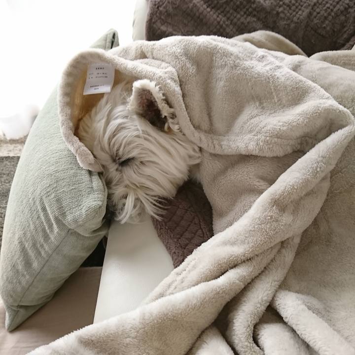 3f939e60 a3ee 4d43 9ab6 c5dbe327c8d7 1528904756072