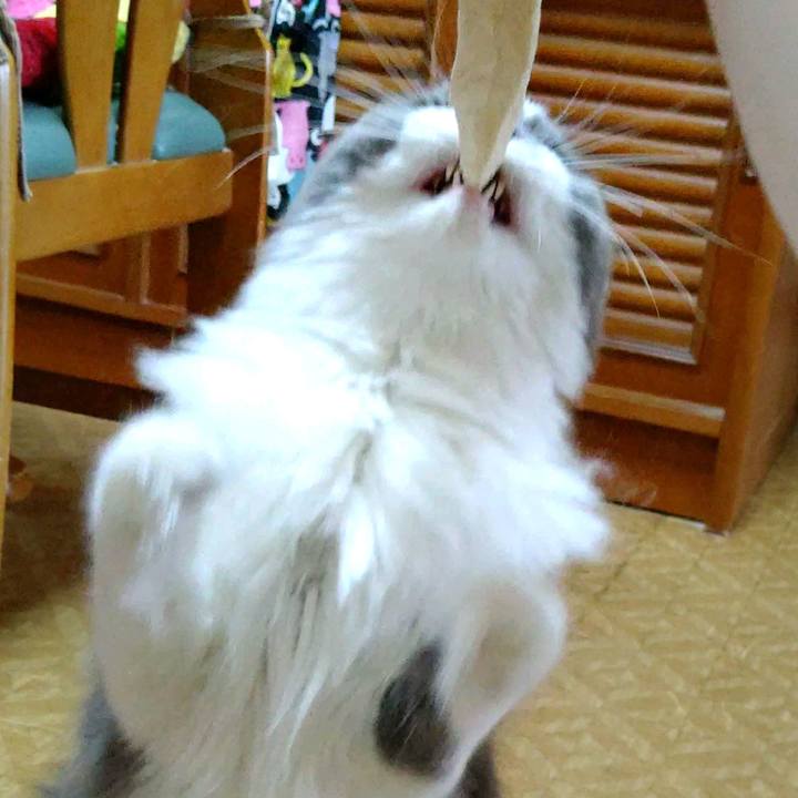 3f93c3ce 4245 46aa a827 d96796e8d560 1602923760895