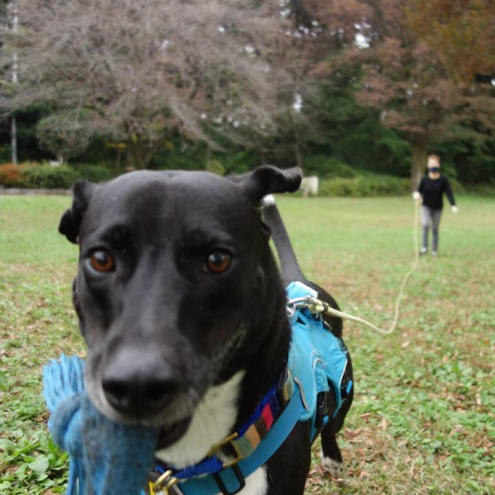 3f94155c b0e4 462d a59a c20e250c30ab 1635813376231