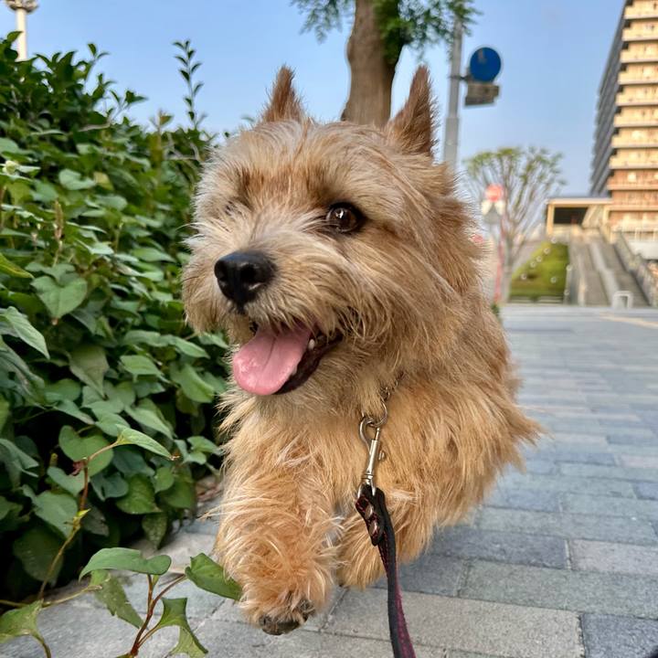 3f941781 cd75 492f a234 a5913db69df4 1751550800578