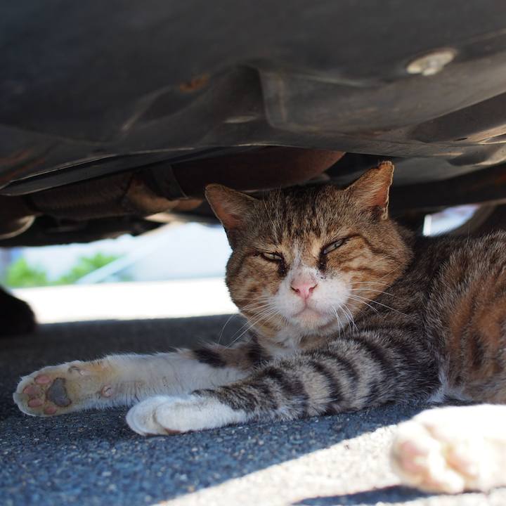 3f9417e7 9a86 4610 b2b1 8923d2f0dffe 1555332711075