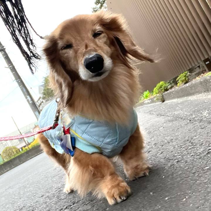 3f942832 a9e0 46e8 9202 4d230d5883ad 1679403236105