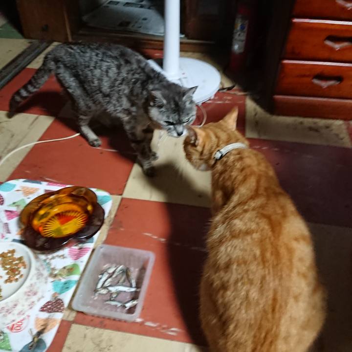 3f943054 d6f6 434f b509 89c3a13233e0 1593545616973