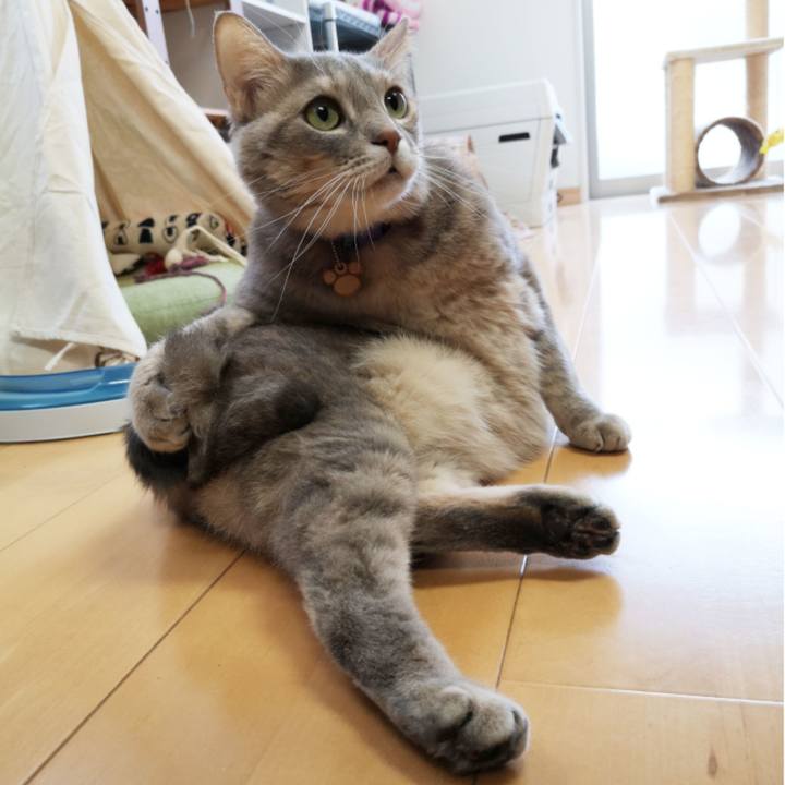 3f947439 445b 49fb 9d54 fb5b2744f542 1577174859692