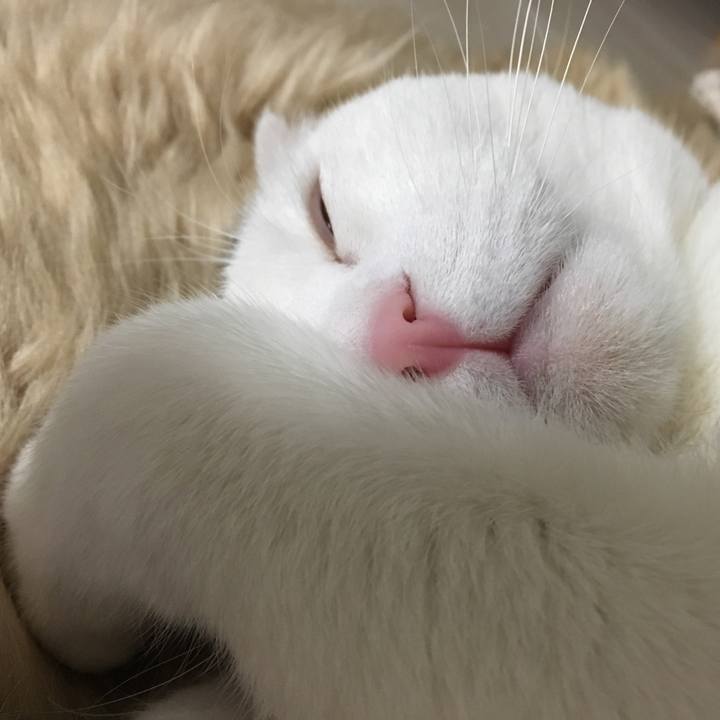 3f948dd1 282b 4c48 8467 0ceeab011a33 1519042959304