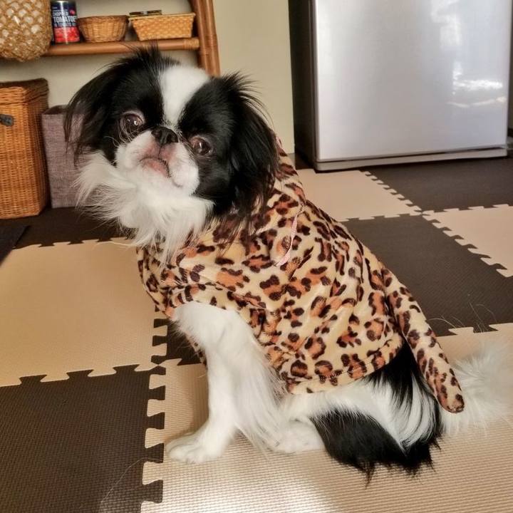 3f94b095 0336 419d 9922 388f0cd3eb02 1672491827317