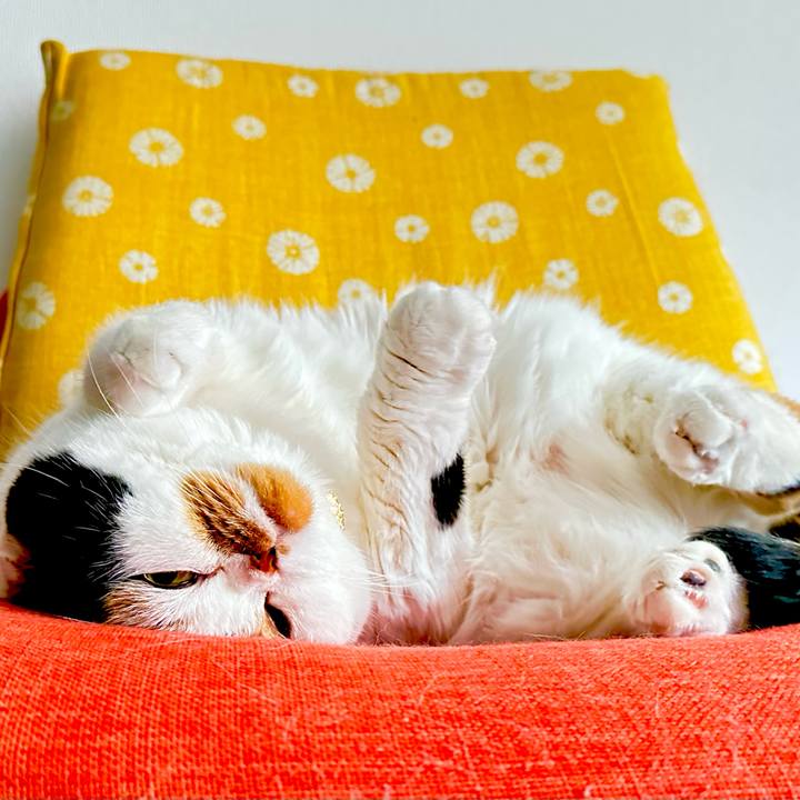 3f94c095 e061 4d79 8389 98481511ef22 1673142953054