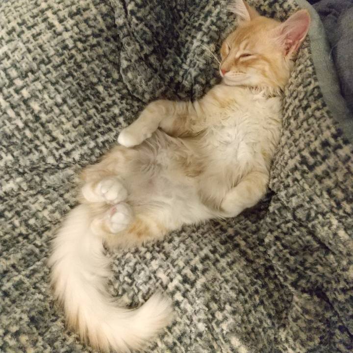 3f9520a0 1cfb 4f3d b254 e14c7a0c624f 1607696850742