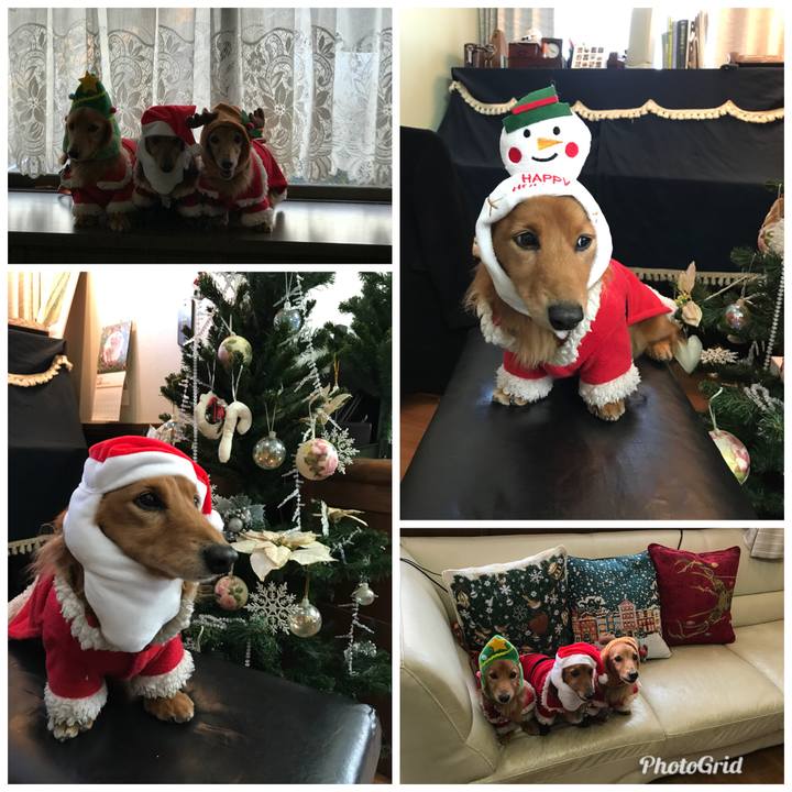 3f957720 15a6 43ae 85ec 1a9e71858e2d 1514103226033