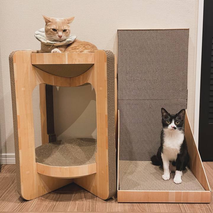 3f958266 0fc6 4f90 b296 a3f3de31e348 1709635889024