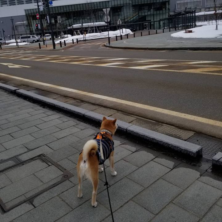 3f95a6d2 757c 4fe1 9793 c1a6a716ac11 1614146019332