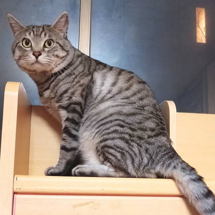 3f963c1a df77 4095 bfca 597acac7ada3 1589374791333