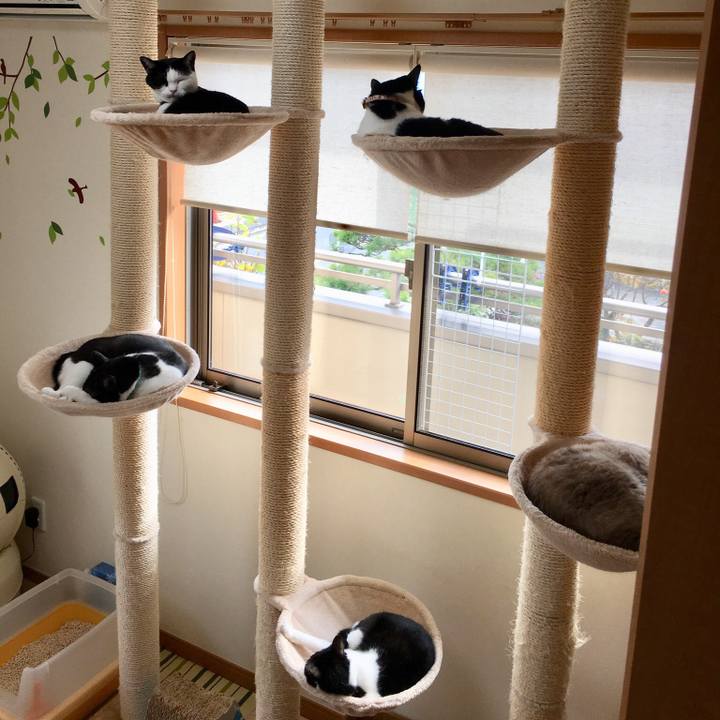 3f966bae f9d3 49bc 8775 2c58c5a31aec 1511232213996