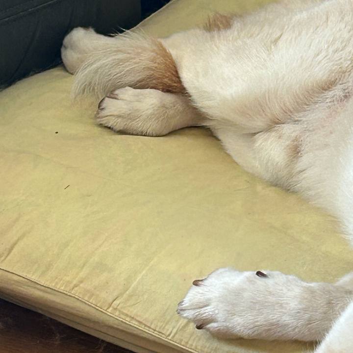 3f967230 d89d 4421 aac9 96174178770e 1730693071273