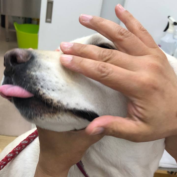 3f967b2b a8ba 4bff 86e3 8ce73111fbc3 1624275383573