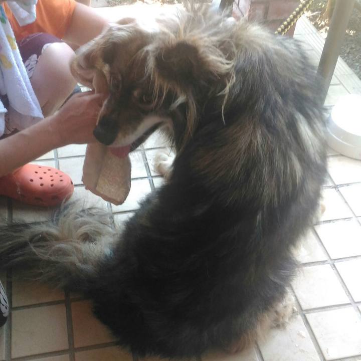 3f968093 b9f6 483a 9ec3 8974d53a11a0 1531630153956