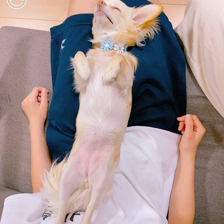 3f96c567 d72c 4bf3 a5e7 2dddf3efc530 1620983788448