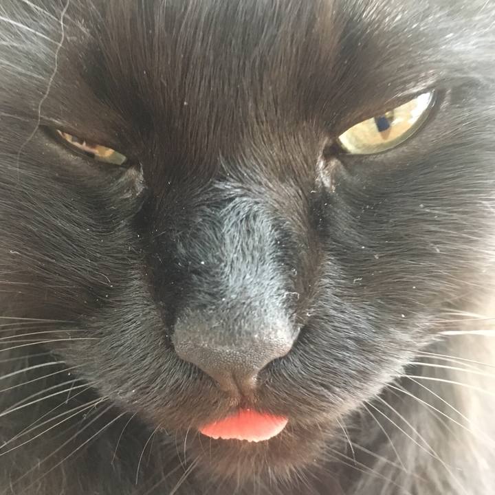 3f96c7cb 1a04 4e7b b24f 527a9d2e882c 1533718246305