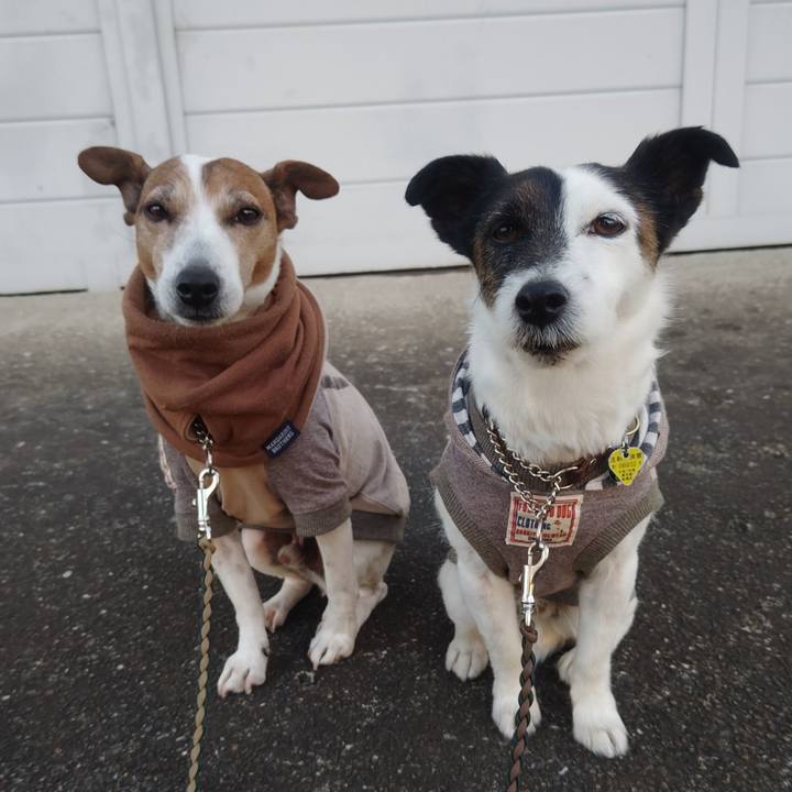 3f96da0f d51b 42ce 9767 d6b15f469990 1772316361569