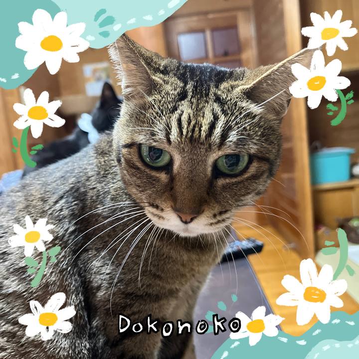 3f96dcae da4d 478e 8316 115553907c10 1712742598150