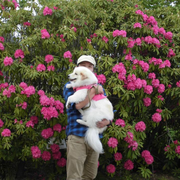 3f97127b a779 4643 8c92 69c8650a54e5 1528171459429