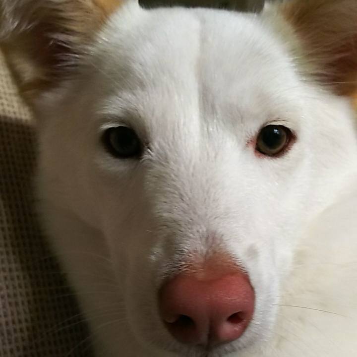 3f9735df 20b1 45a1 9580 3c4db486027e 1515505345427