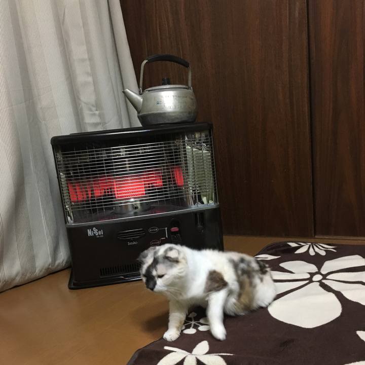 3f9759a0 4b4e 473f ae4a c2273189ba51 1552619809038