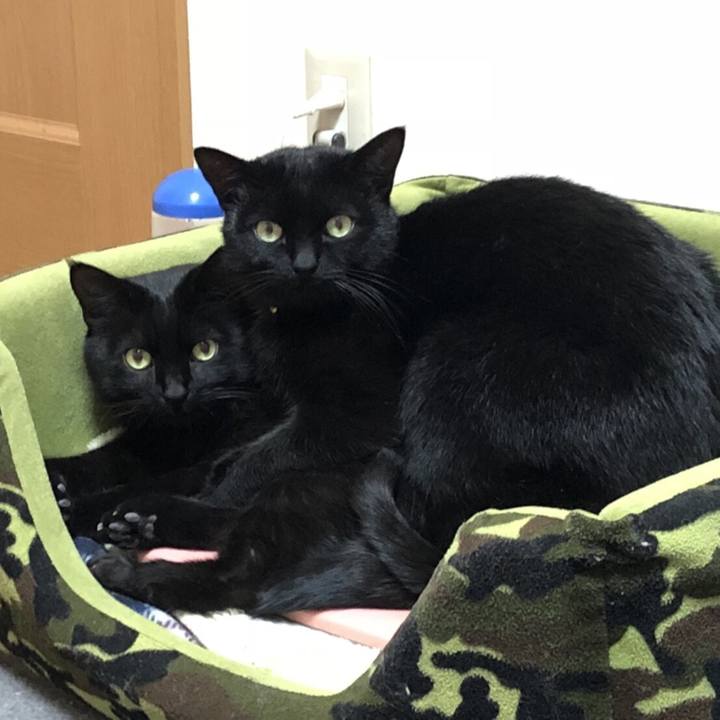 3f977484 abfb 494b a474 9416e4ebfd95 1520486903074