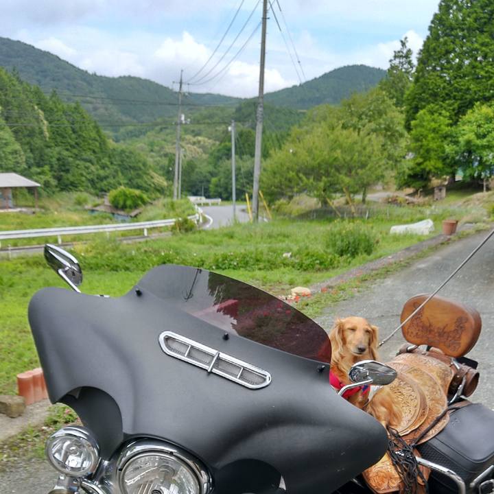 3f977d1a 83fd 46f3 97f3 5e071b4e5820 1656489554810