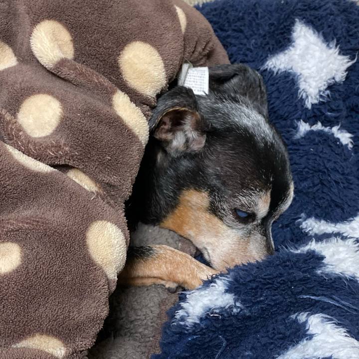 3f97a2e0 9afc 409c 964c fec600e5e418 1574265352842