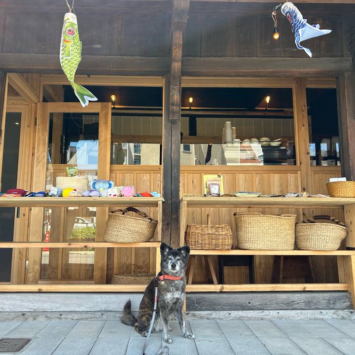 3f97bf3e 2f90 45d0 8532 2c644e4ab238 1746999306760