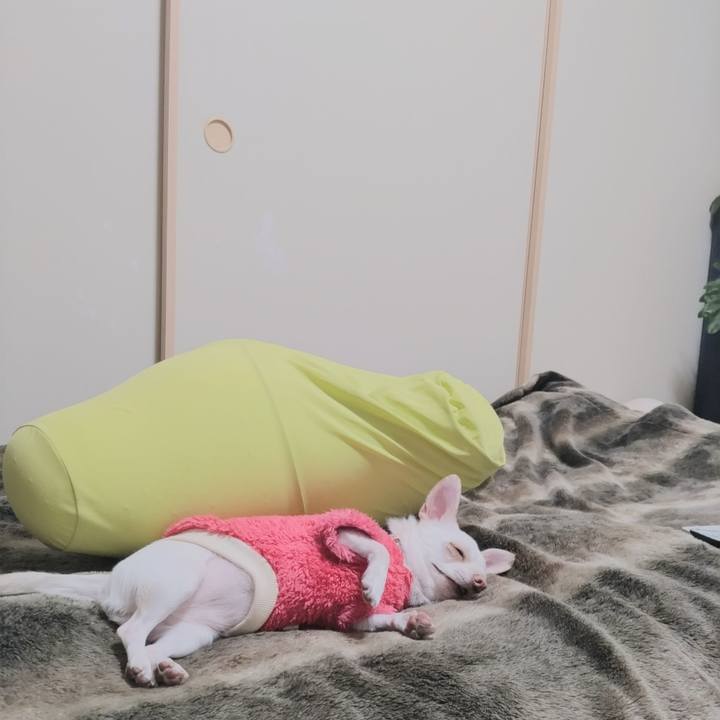 3f97c008 a596 4cdd bf77 6fb49b076b30 1737883962666