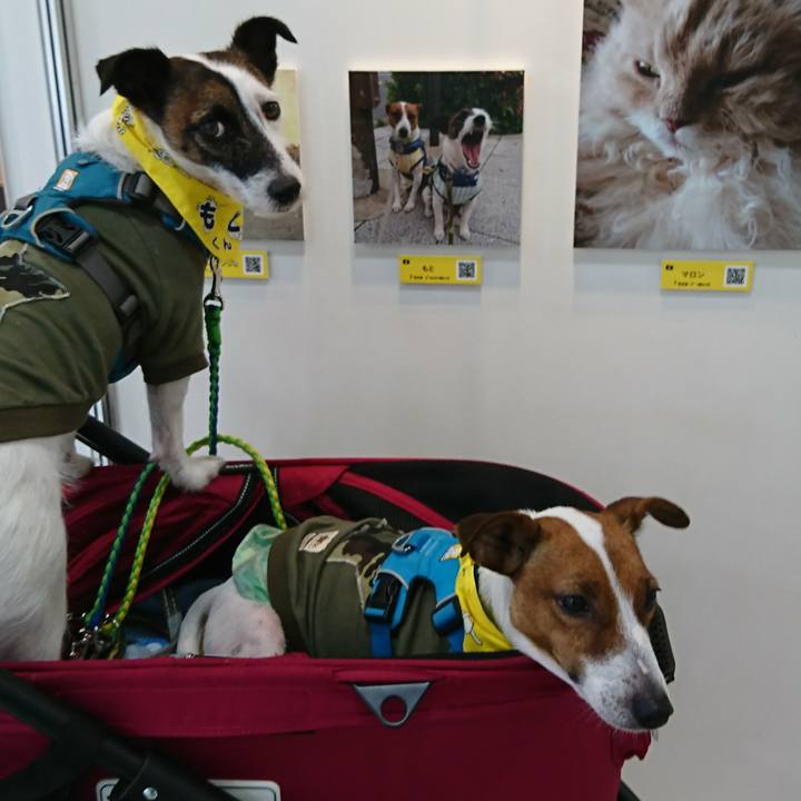 3f9805b8 bf6e 4507 abe8 c3aa5e5ecd3b 1560045898189