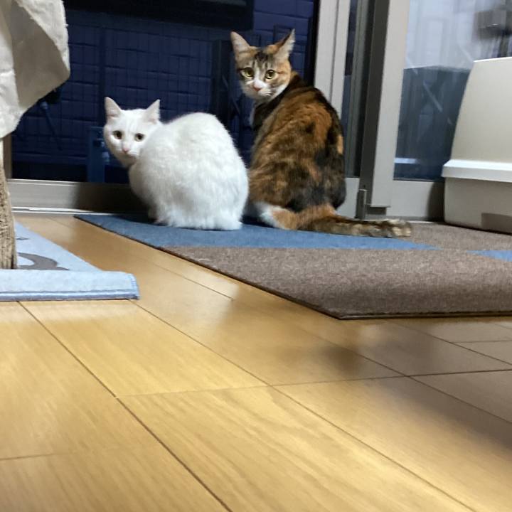 3f985918 dde5 48c7 98f6 afa215005232 1675288671810