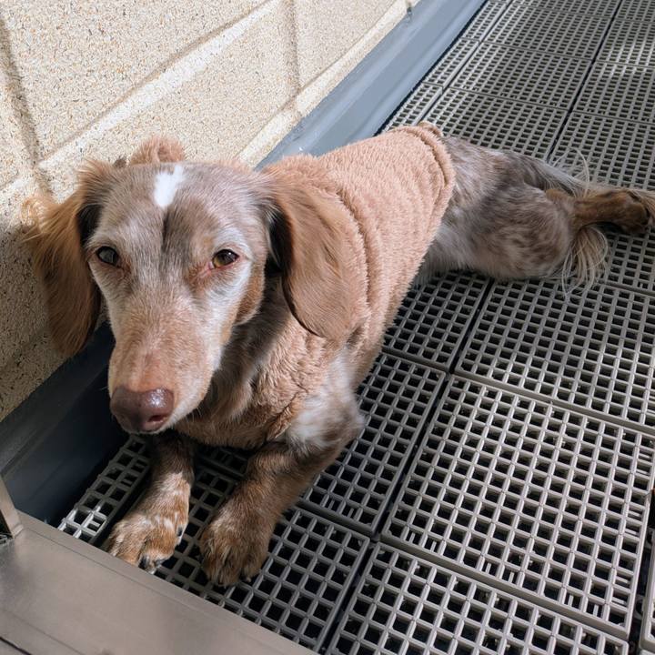 3f9868a4 794c 4cc8 9d40 14c6cca642e0 1767412428206