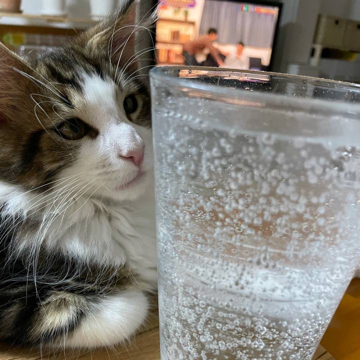 3f987947 2e8e 4e7e 9849 3c3472ac78da 1633163957477