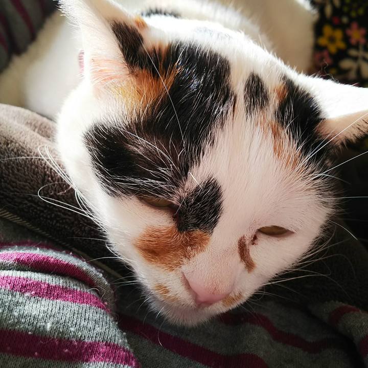 3f989d92 0700 4dda 8189 47cc8247fb4b 1546755435032