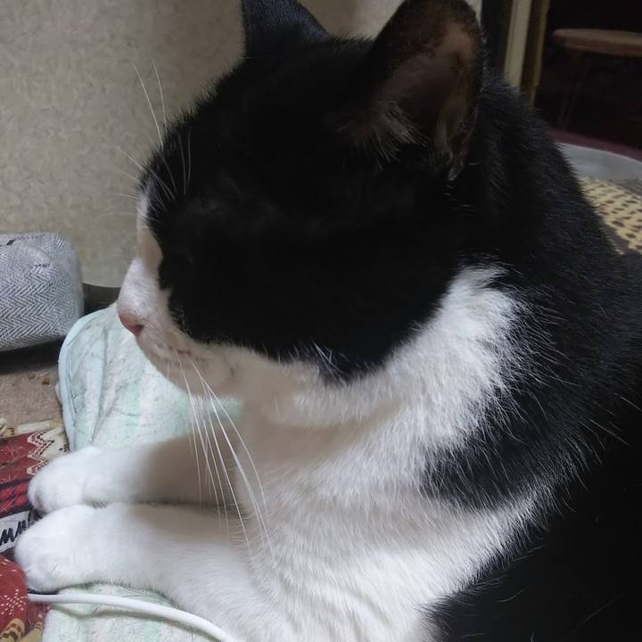 3f98b803 fc02 482f 8197 3049c462bdb6 1565562563149