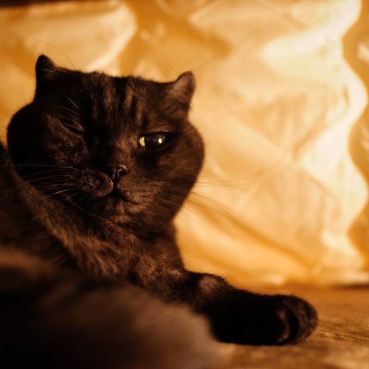 3f98baac ed23 414c 8dcc f82d3b846d94 1640780359881