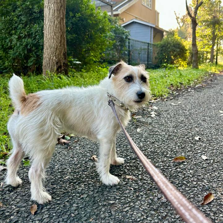 3f98d02c 644e 46b1 8b70 21378913f4df 1730731819804