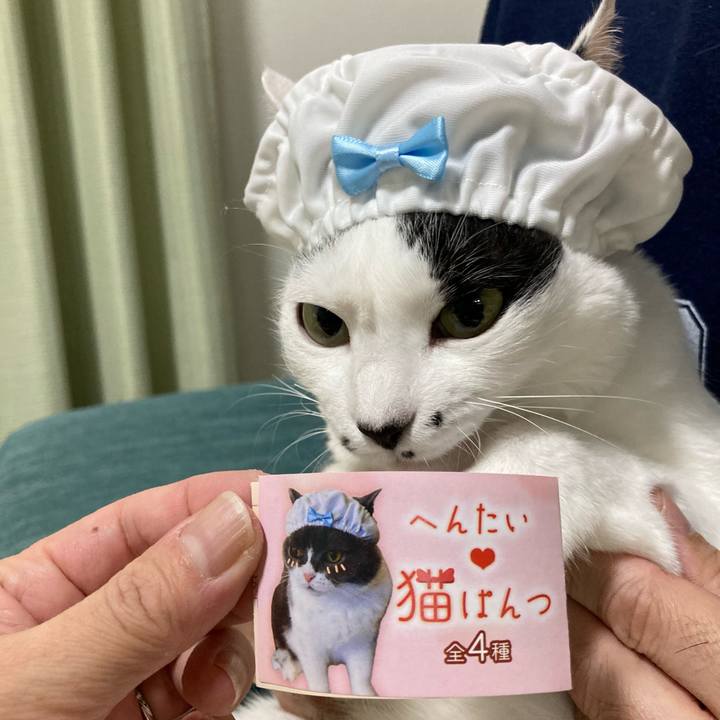 3f98d573 d5d1 46bb a52c d26b2d2f2de5 1762249857236