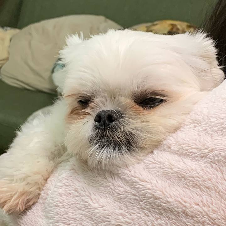 3f98e69a 7ee2 42d0 8a1e db1c4bc8ad88 1668943997571