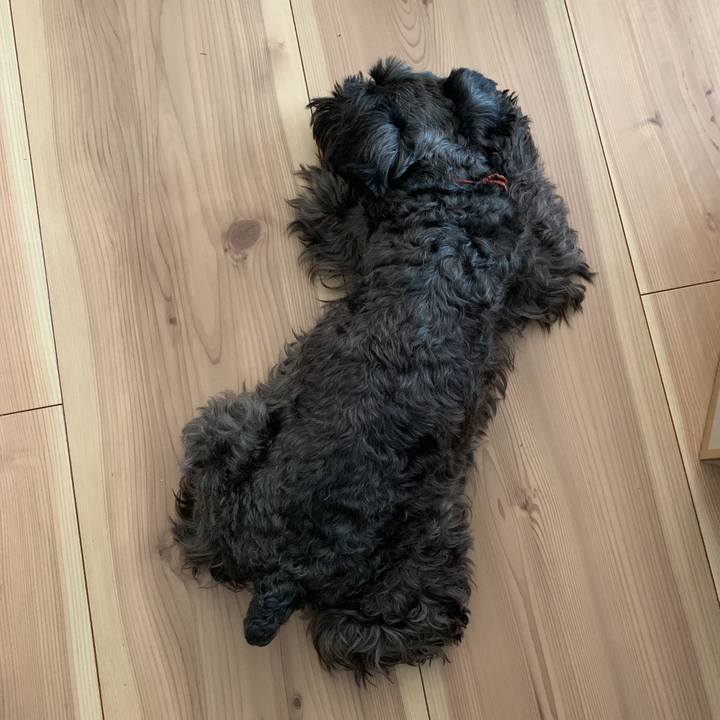 3f98eb6d 4880 46f4 be28 893640dcd5ee 1588648309621