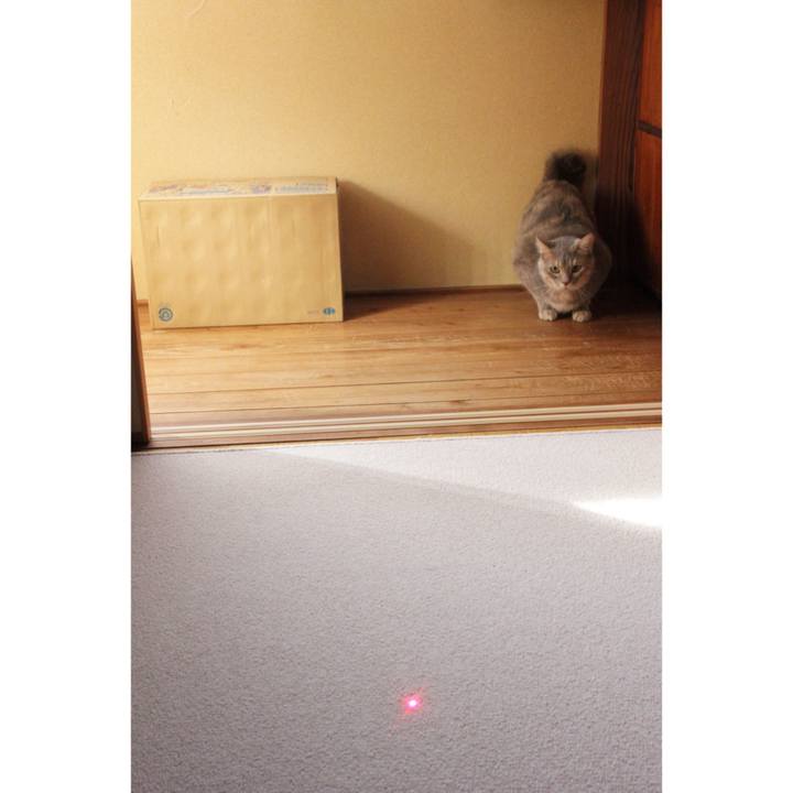 3f99799a 87d8 42ba b8db 1100bdf57276 1590292759493