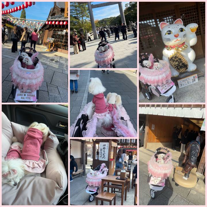 3f998876 3c7e 4f0e b474 8b1b316e84db 1761818674524