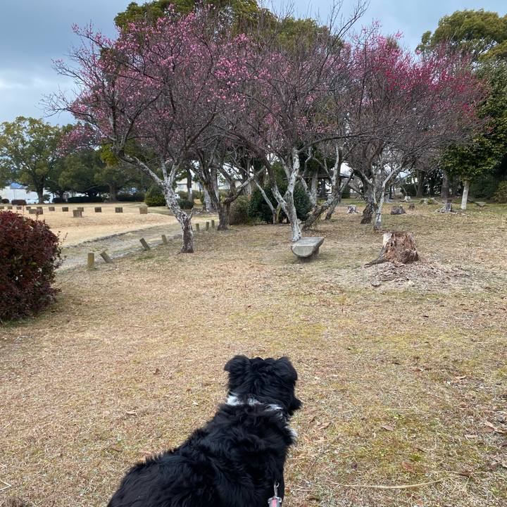 3f999f56 2248 407e bd46 e6749b2d0e3c 1644453780393